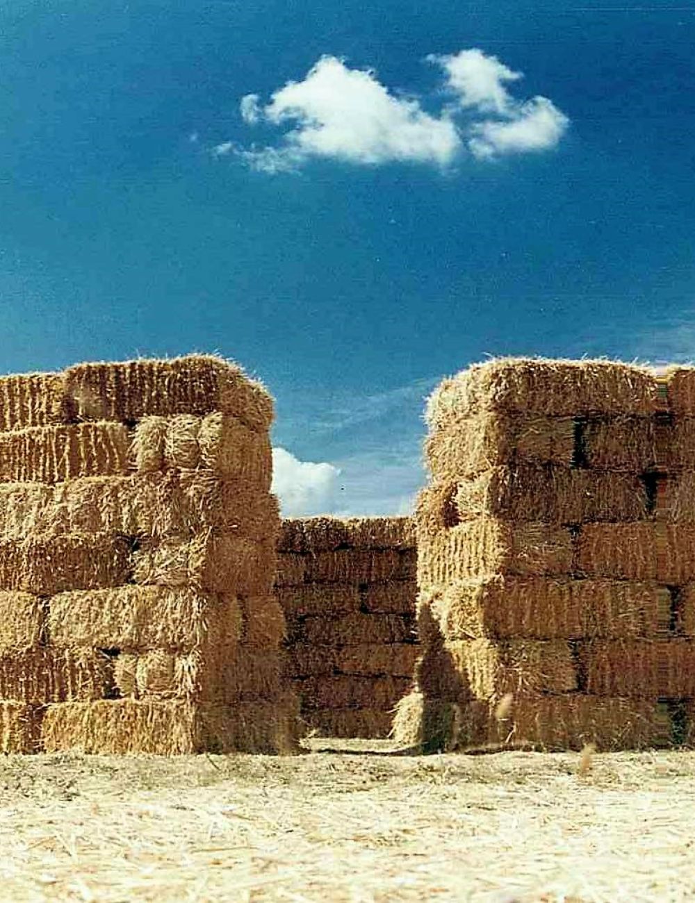 Diego Arribas - foto de obra artística